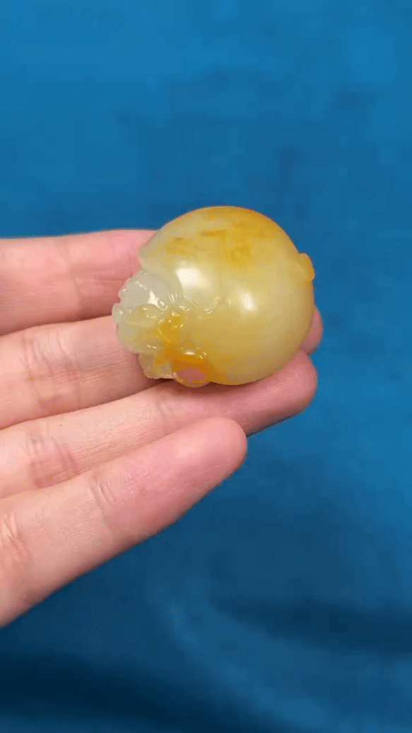 726228 和田玉籽料龍龜