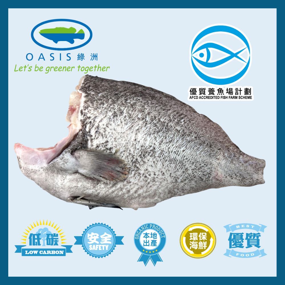 本地魚菜直銷專區：（ 綠洲 ) 速凍特上藍鑽斑原片魚柳300g