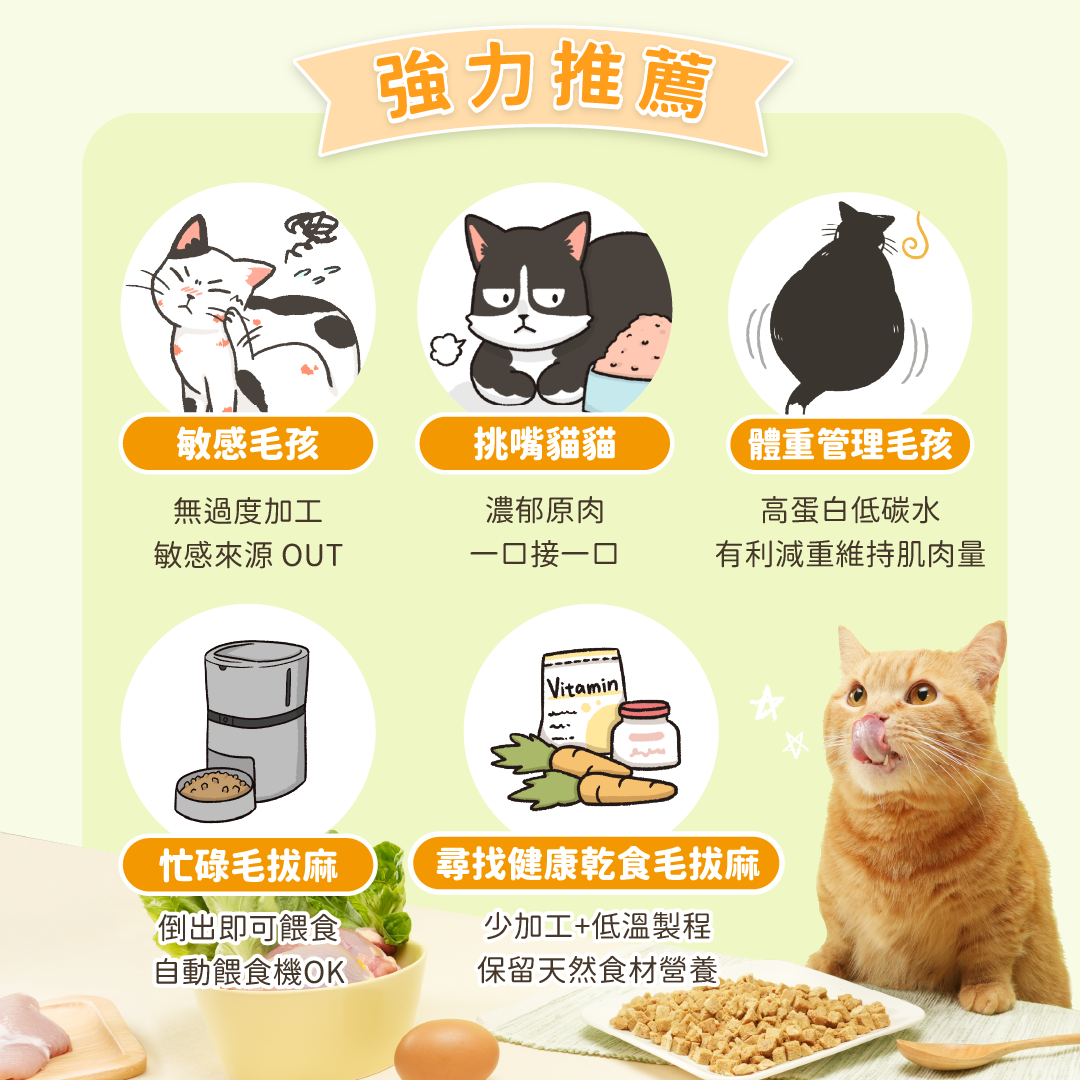 DogCatStar Duck Recipe Cube Freeze Dried Cat Food 500g