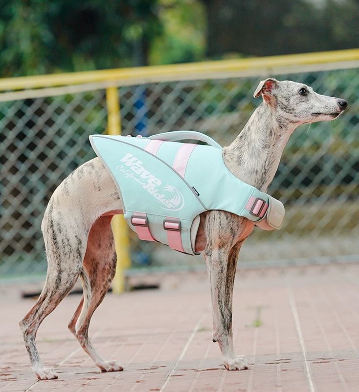 Zooland Dog Life Jacket Tiffany blue (S/M/L/XL)