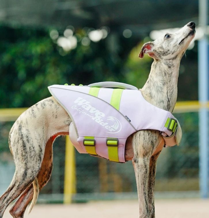 Zooland Dog Life Jacket Light Purple (S/M/L/XL)