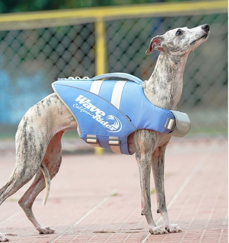 Zooland Dog Life Jacket Blue (S/M/L/XL)