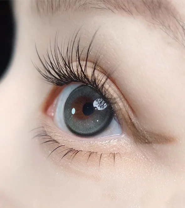 [月拋] OLOLA Meow 1 Month Scottish Gray 彩妝隱形眼鏡｜每盒2片