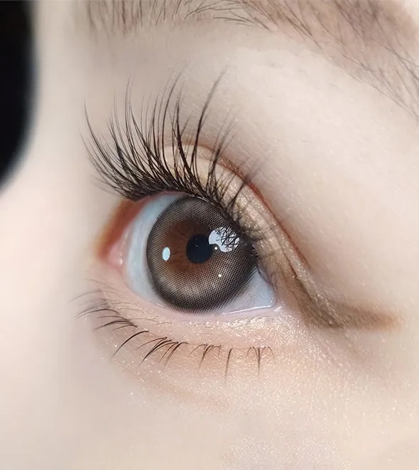 [月拋] OLOLA Meow 1 Month Koshort Gray 彩妝隱形眼鏡｜每盒2片