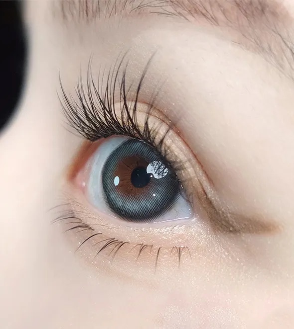 [月拋] OLOLA Meow 1 Month Koshort Green 彩妝隱形眼鏡｜每盒2片