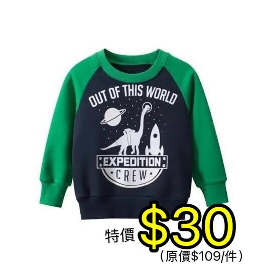 (現貨) 🦖🦖恐龍絨底衛衣