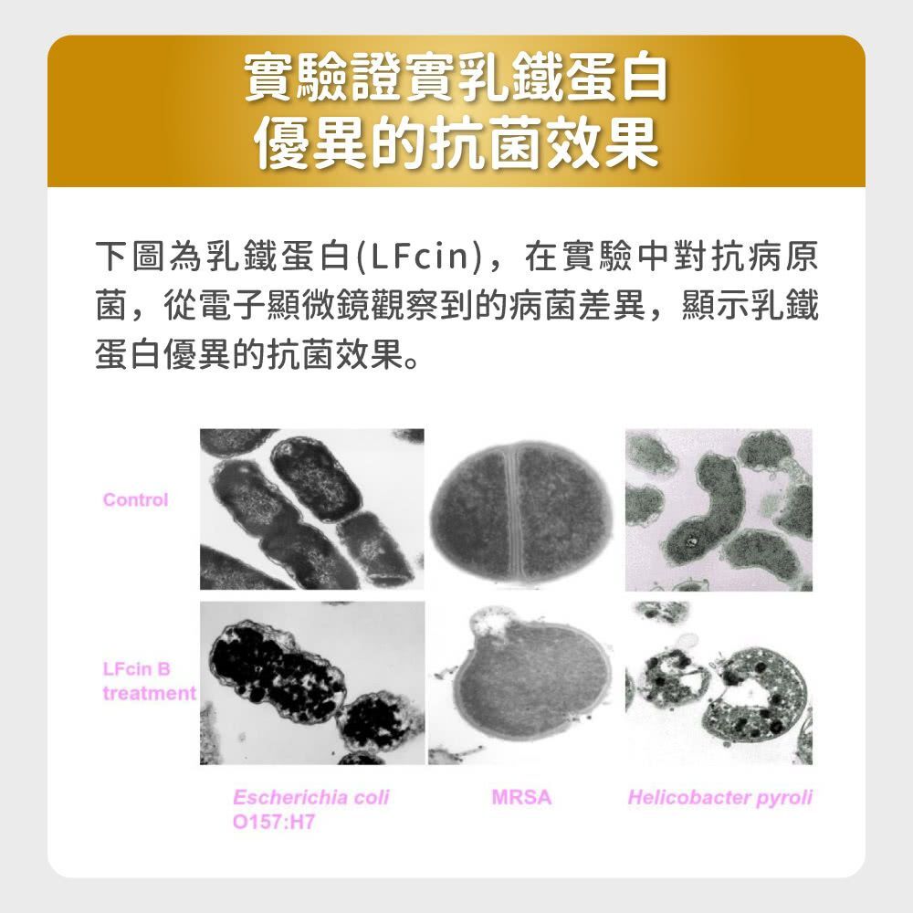 毛孩時代｜免疫力平衡保健粉