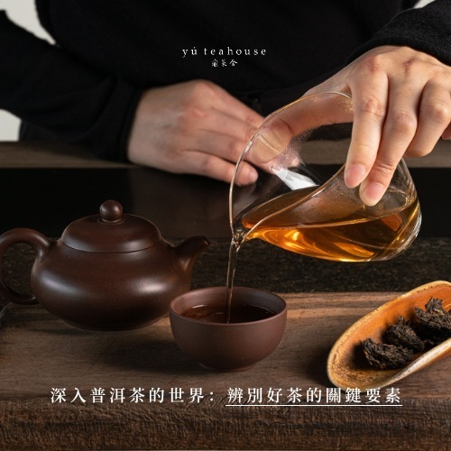 深入普洱茶的世界：辨別好茶的關鍵要素｜瑜茶舍