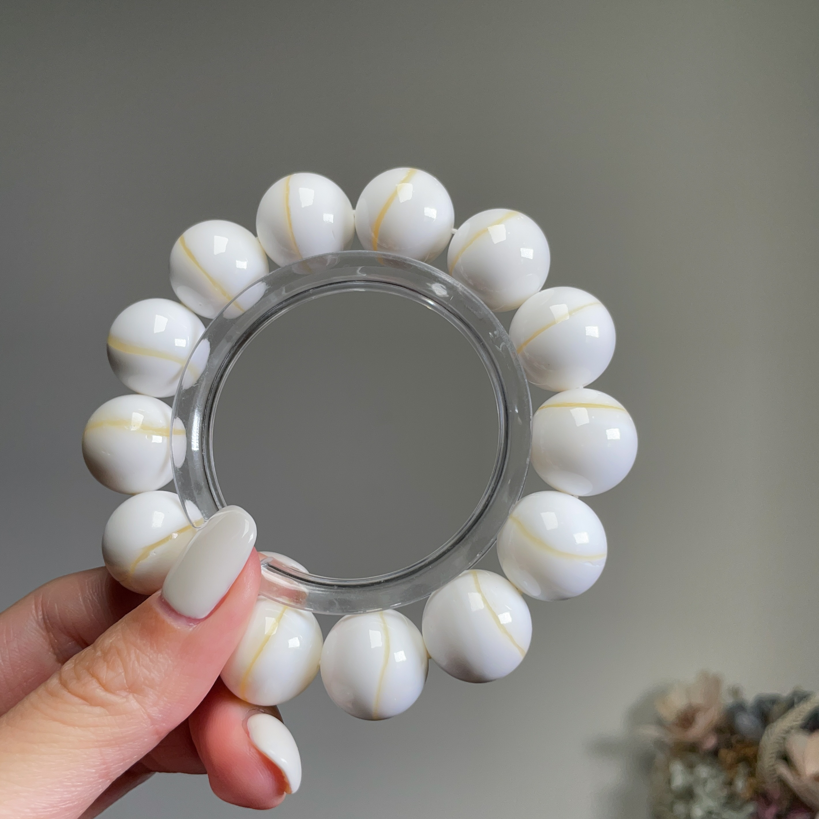 一線天－金絲硨磲