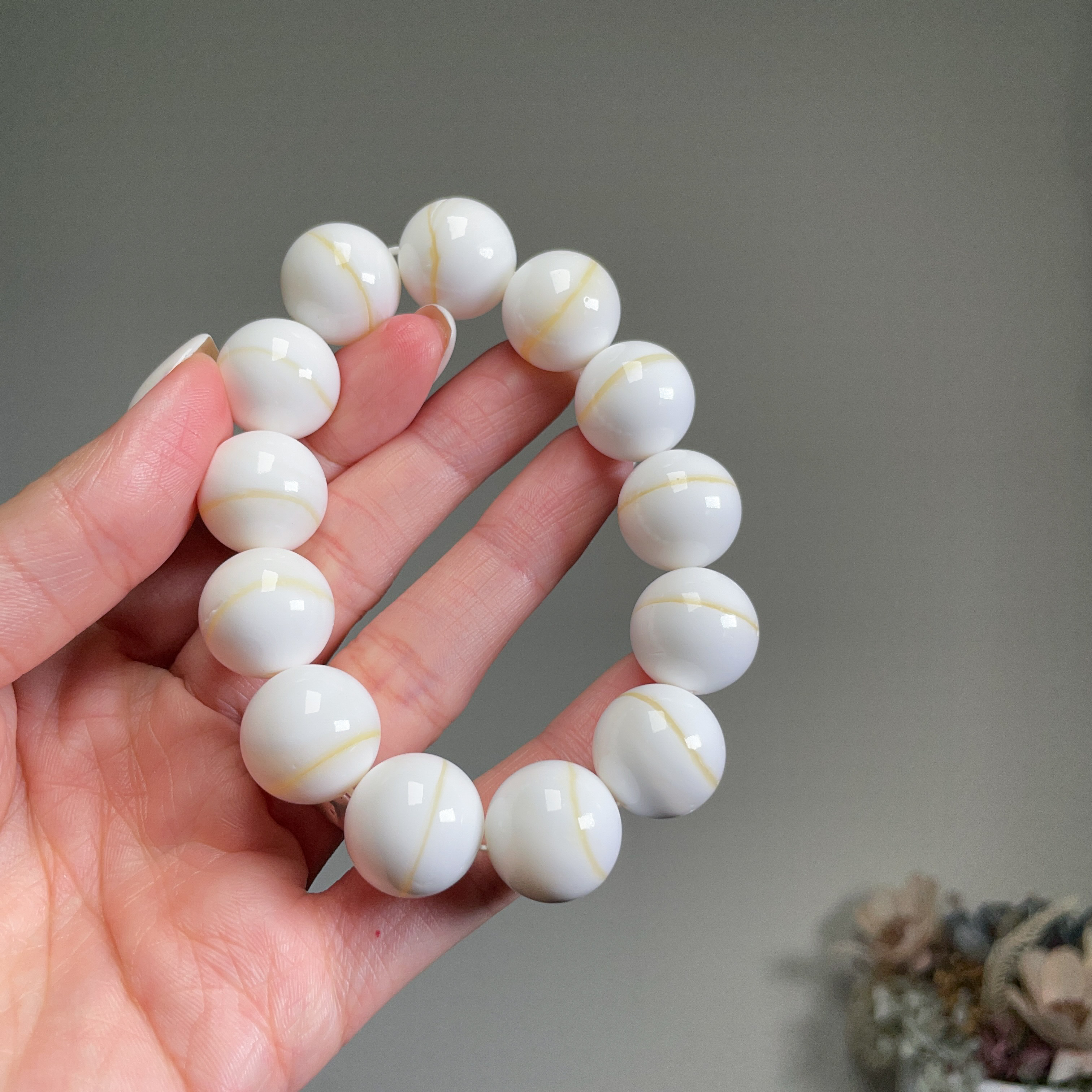 一線天－金絲硨磲