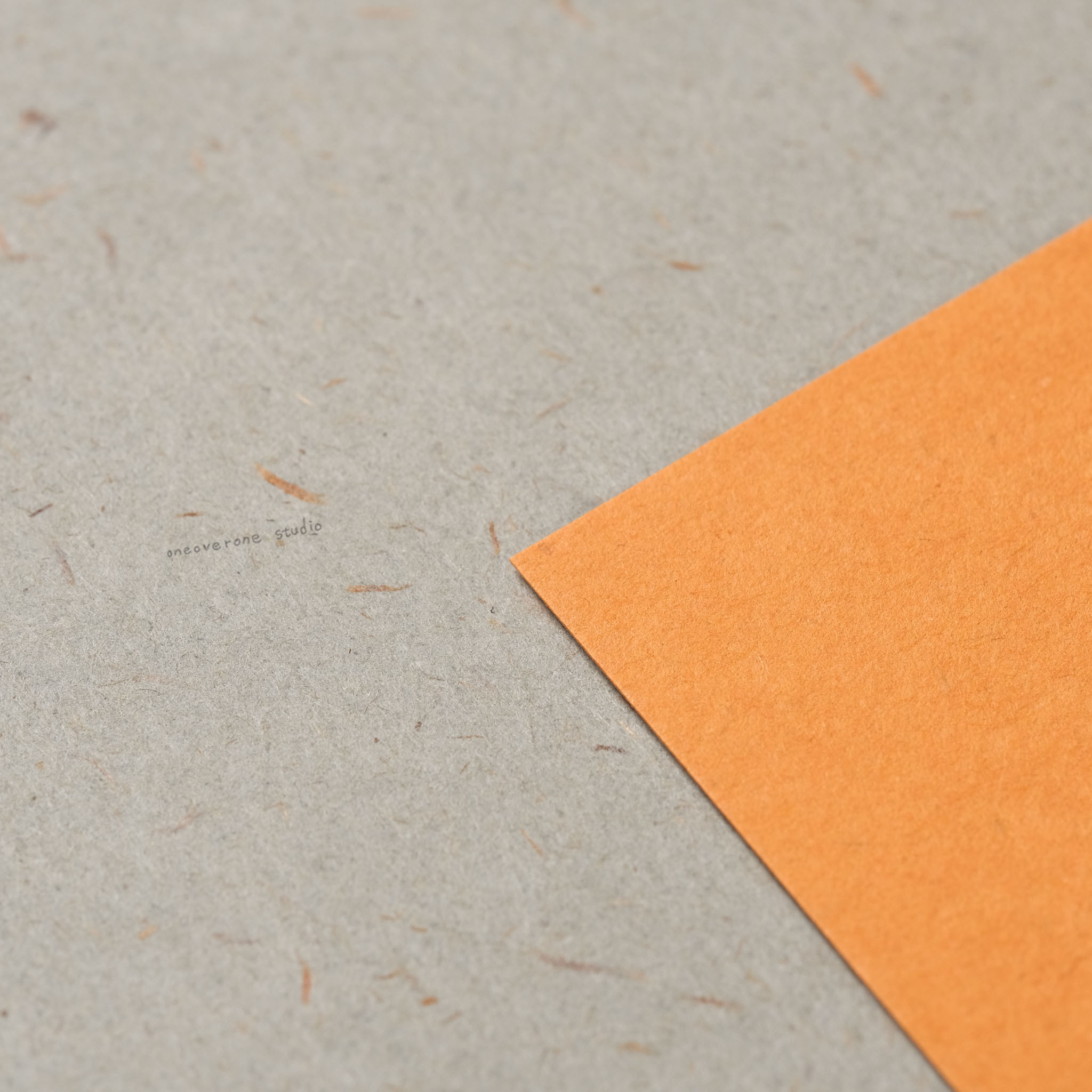 無孔 BIBLE尺寸 秋日絮語素材紙包 ｜一分之一工作室 臺灣