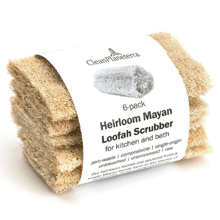 絲瓜絡刷 (6 件裝)