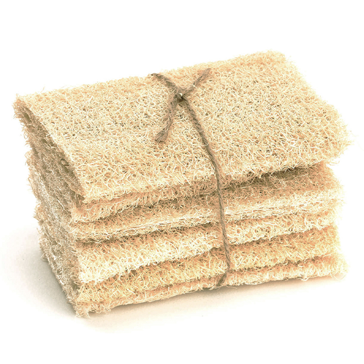 絲瓜絡刷 (6 件裝)