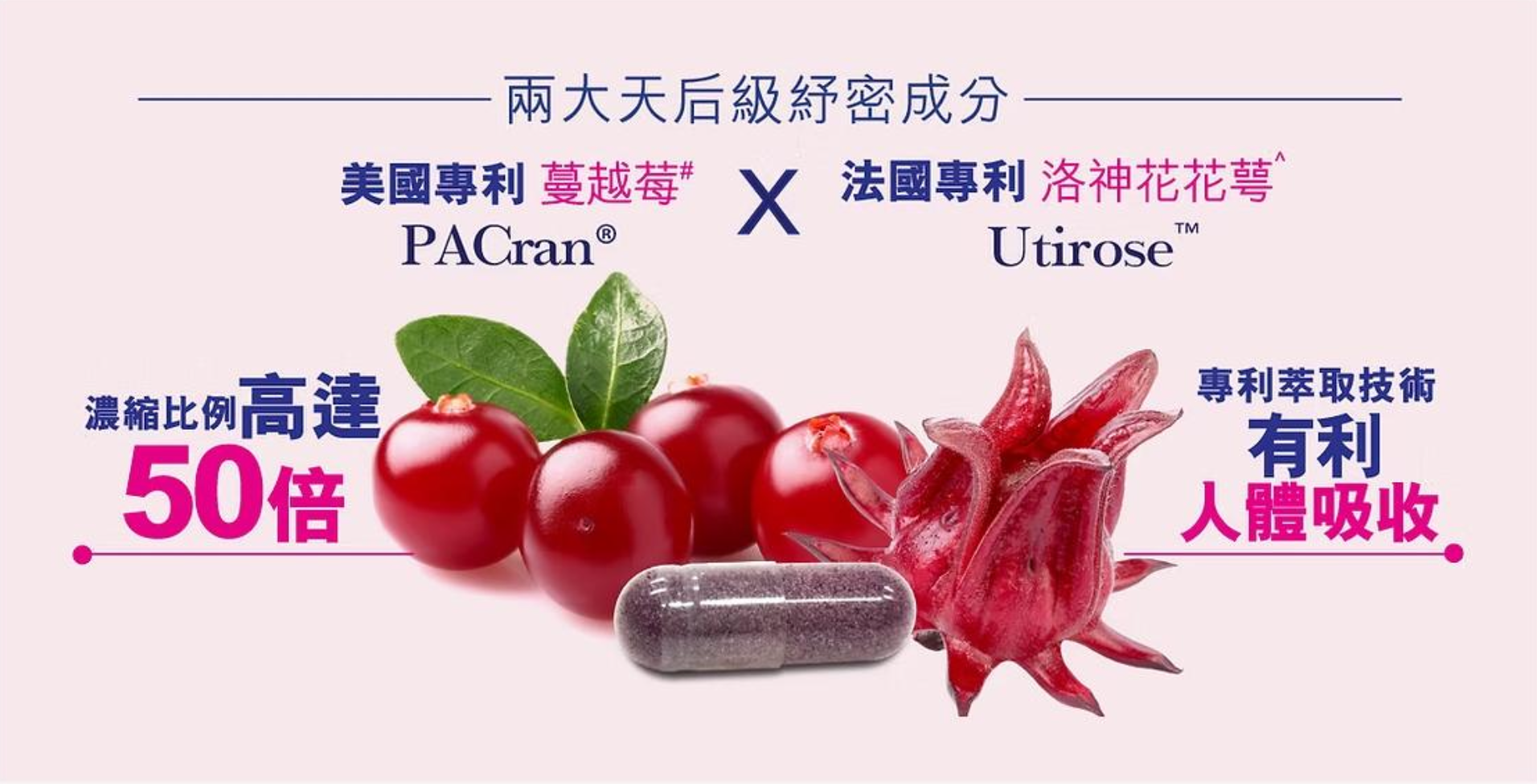 一丸雙效，同時殺滅念珠菌及大腸杆菌兩種私密惡菌！    兩大專利天后級護密天然成分    ✅殺惡菌 同時  ✅留好菌！美國專利 蔓越莓 PACran    ・濃縮比例高達50倍  ・有效重整私密保護屏障  ・減少惡菌黏附    法國專利 洛神花花萼 Utirose  ・專利萃取技術，有利人體吸收  ・改善私密細菌叢生態，減復發