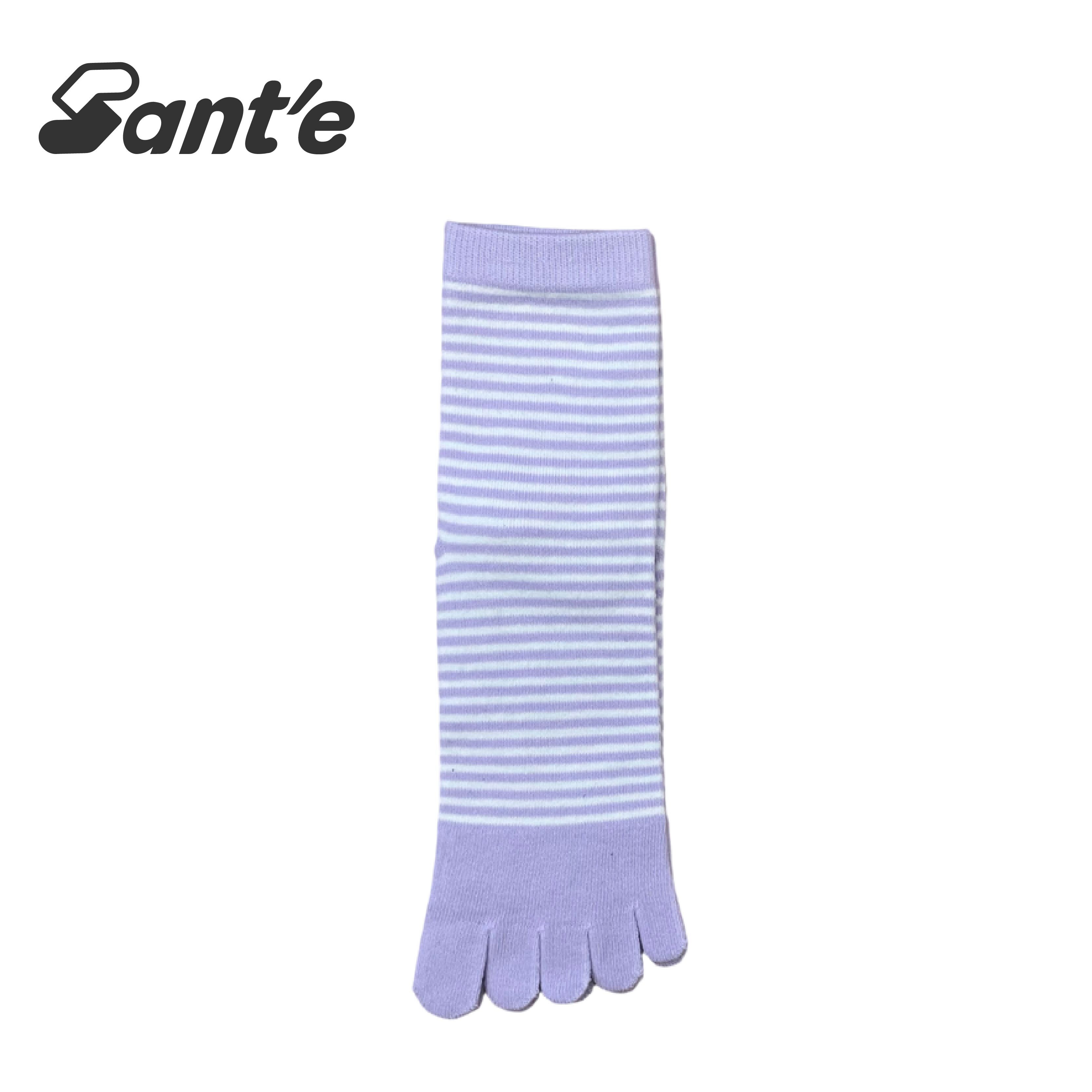 Santé 台灣 條紋健康五趾襪 女款 (4色) 44SA4220