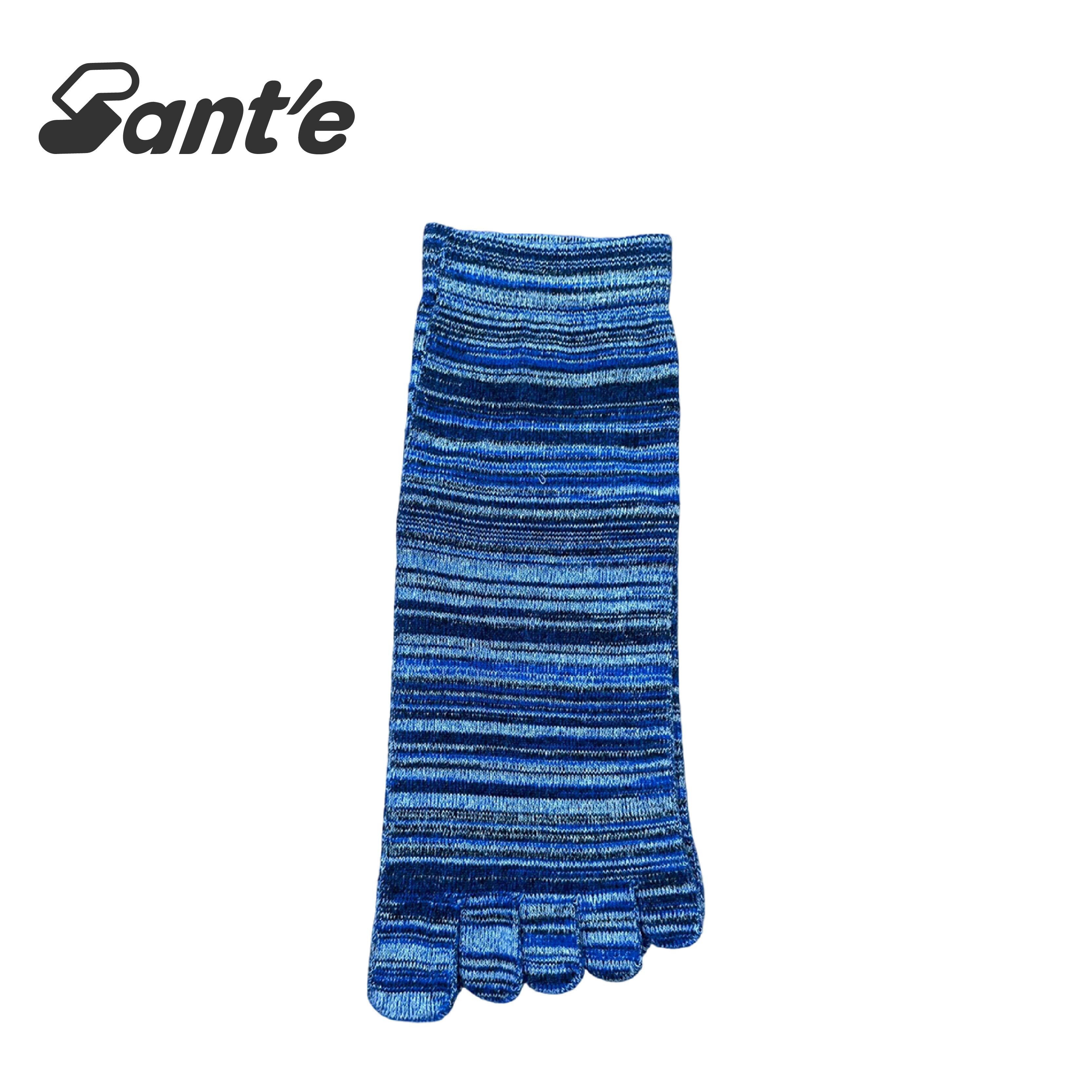 Santé 台灣 麻花健康五趾襪 男款 (4色) 44SA4880