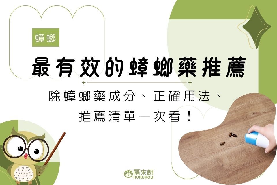 最有效的蟑螂藥推薦哪一款?除蟑螂藥成分、正確用法、推薦清單一次看!