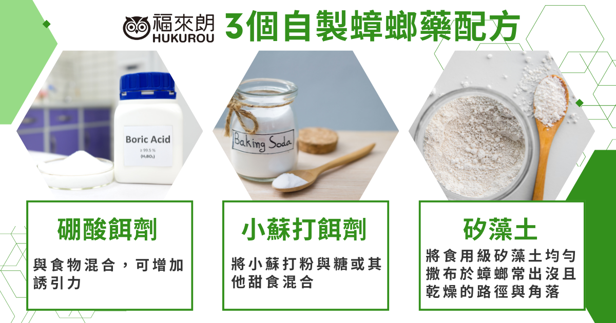 自製蟑螂藥有效嗎?天然蟑螂藥要注意什麼?