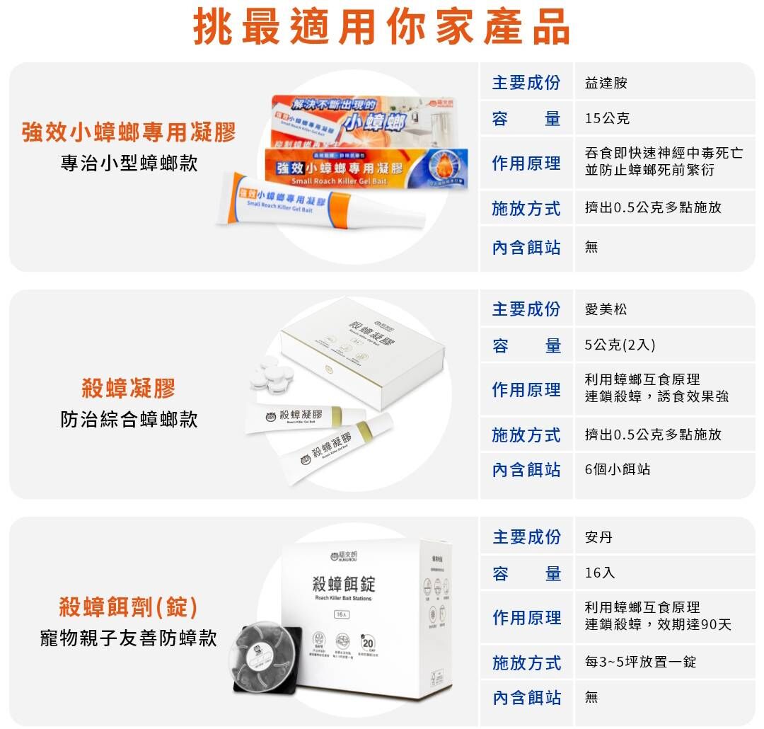 選對蟑螂藥才能真正除根！居家防蟑推薦福來朗