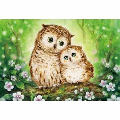 幸福的貓頭鷹 (絕版)