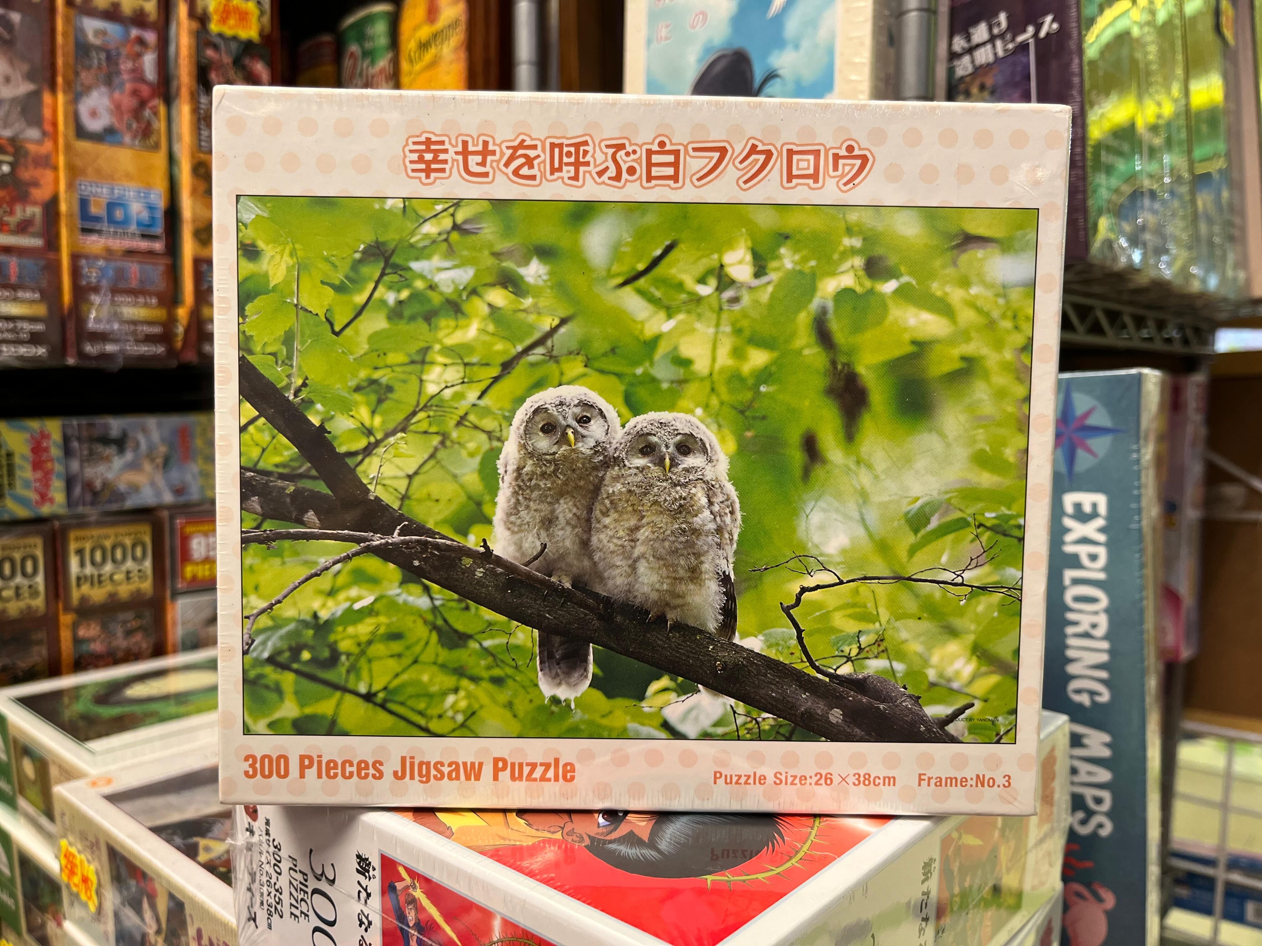 帶來幸福的貓頭鷹 (絕版)