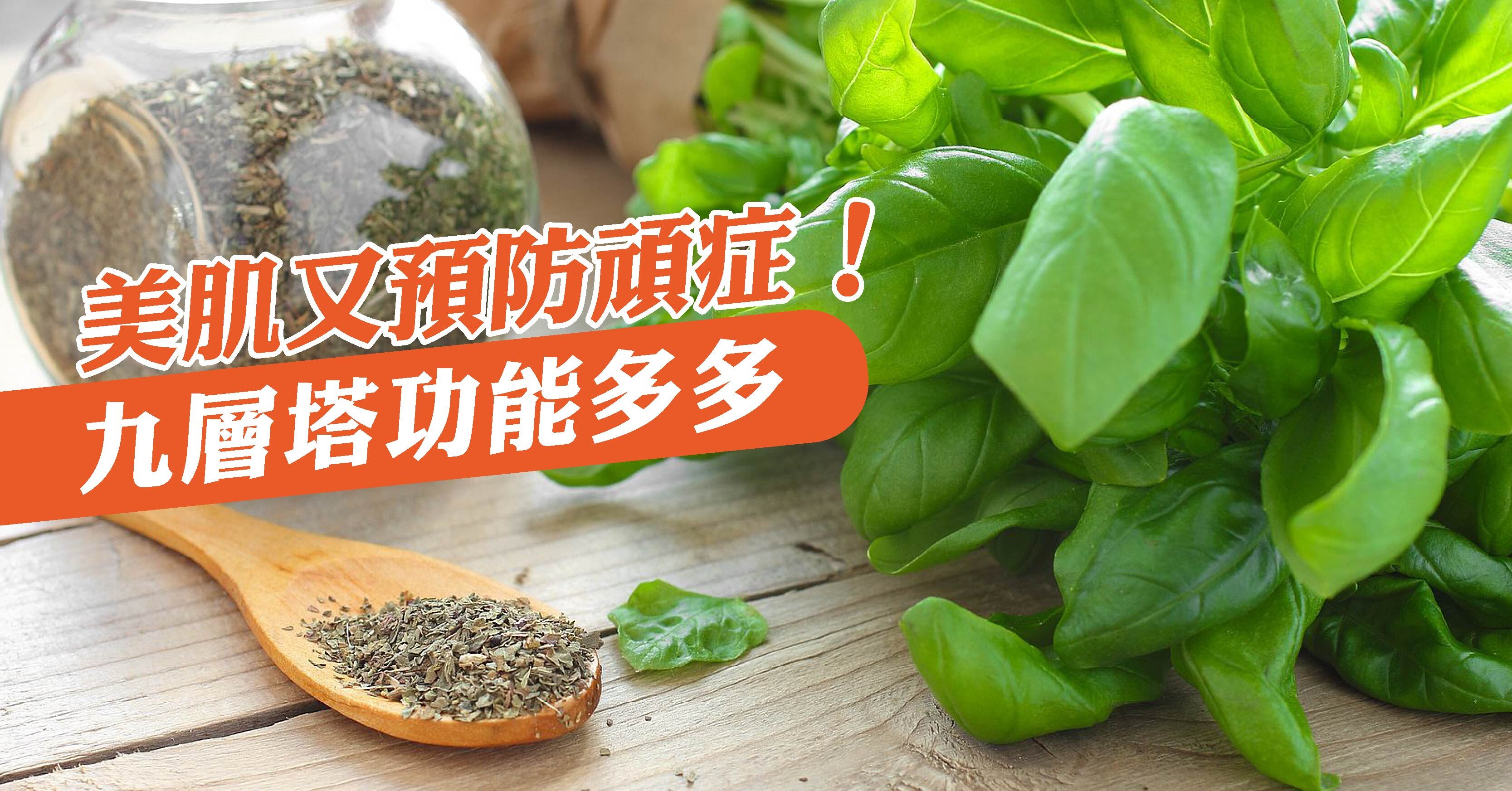 幾千年前印度人就開始培育九層塔,又稱羅勒。其有強烈的氣味類似茴香,味道特別,所以現今更成為南亞菜的重要香料,甚至不少人用九層塔製成青醬,配以沙律或意粉,享受它的異國風味。但原來,我們一直都小看了這棵小植物,九層塔的功效更涵蓋美容、婦女不適,甚至預防頑症,是不可多得的健康食品。