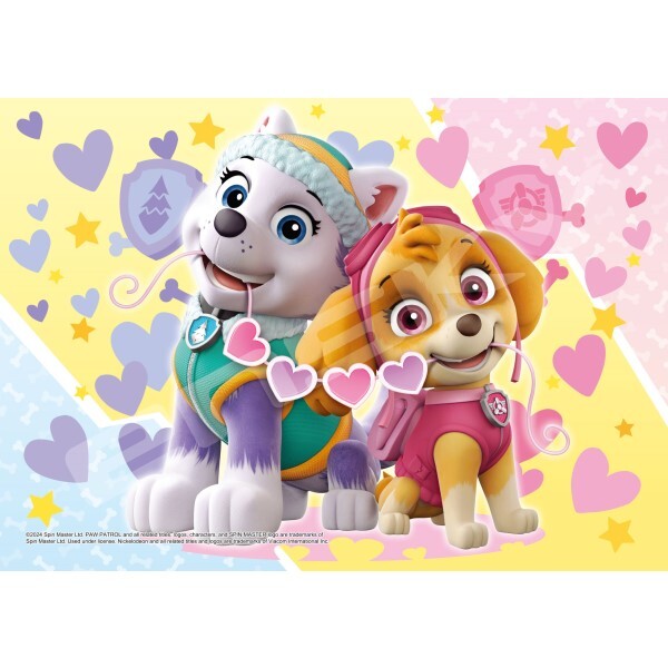 快遞 (大件尺寸)