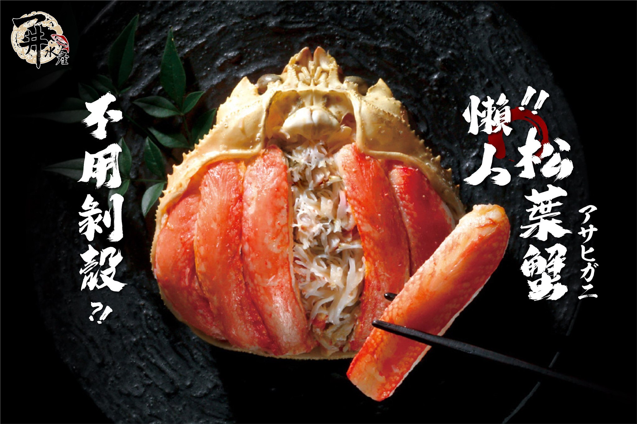 日本 懶人松葉蟹（純蟹肉）