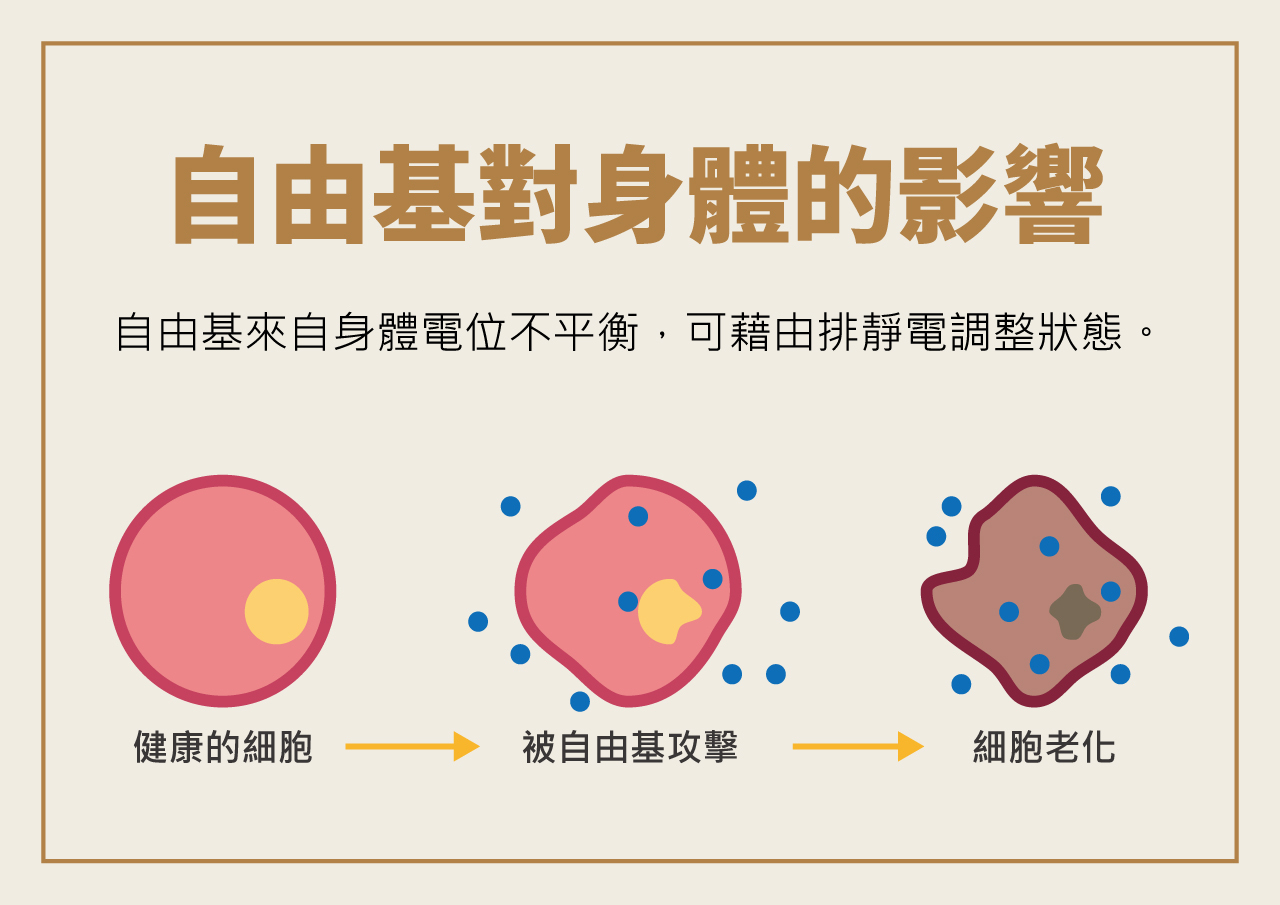 USTINI 我挺你健康鞋 自由基對身體的影響