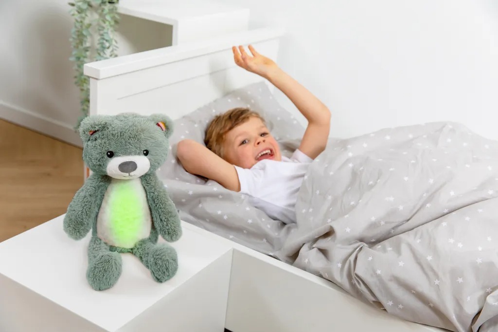 荷蘭ZAZU 睏寶好朋友(3色可選)