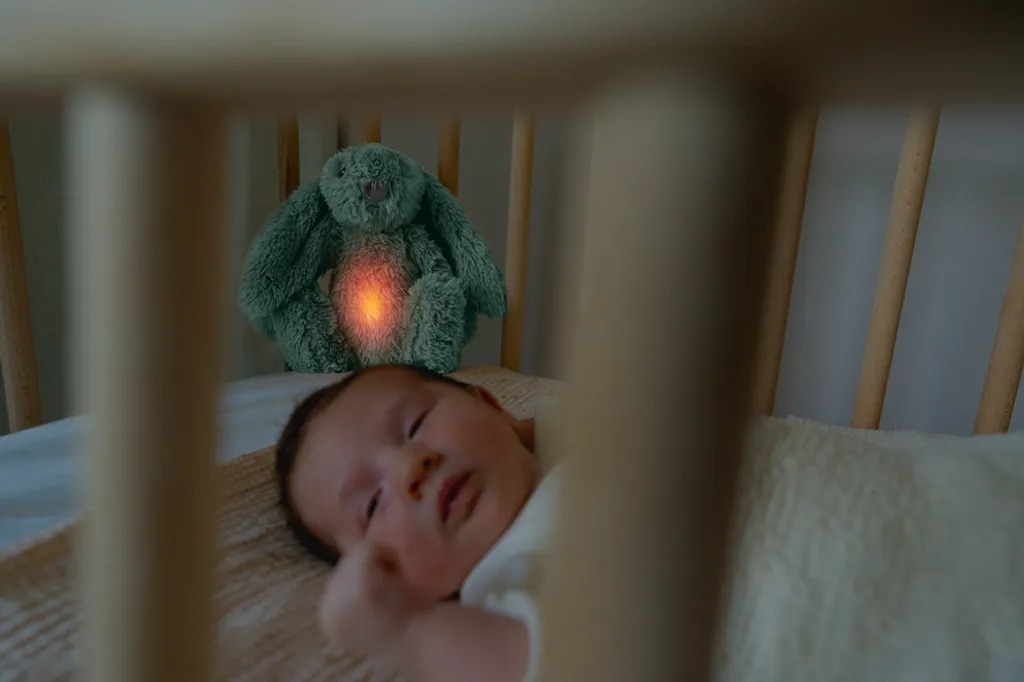 荷蘭ZAZU 睡兔好朋友(3款可選)