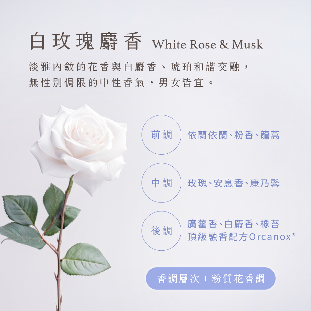 白玫瑰麝香賦活美膚油120ML