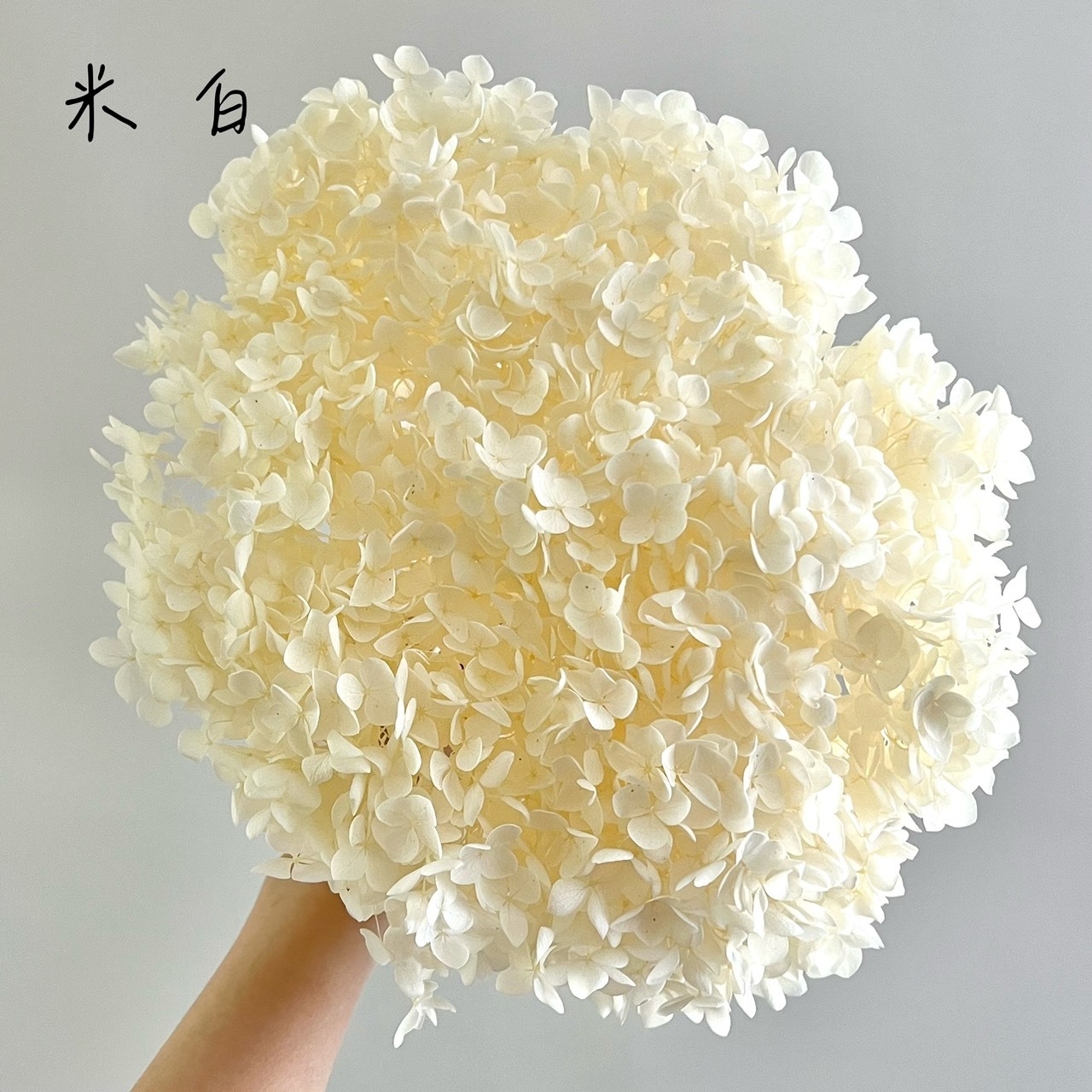 不凋繡球花(帶桿)- 白色系