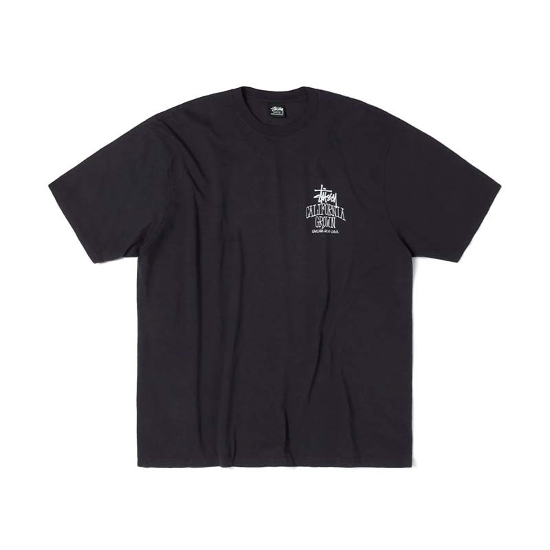 Stussy Cali Grown Tee 短袖 黑色 1905162-FK [台灣現貨]