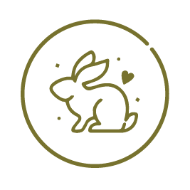 Icon 5