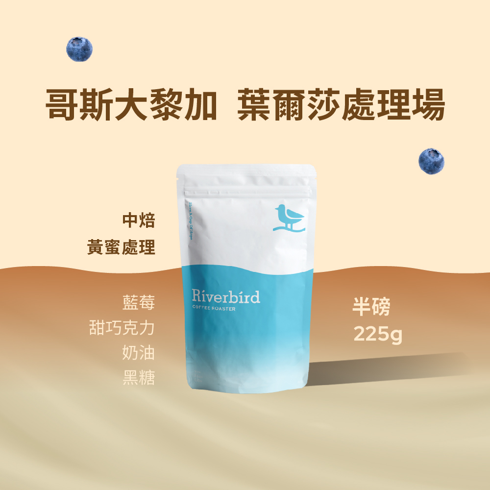 【Riverbird】《225g》哥斯大黎加 葉爾莎處理場 黃蜜處理 中焙