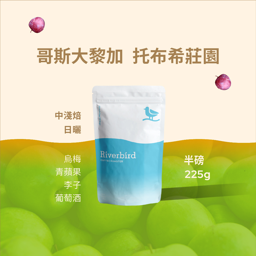 【Riverbird】《225g》哥斯大黎加 托布希莊園 中淺焙