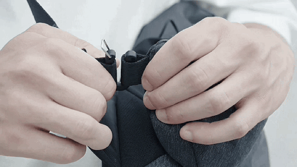 NIID Radiant II 第二代