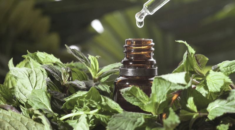 替代文字：用滴管取用抓周精油，搭配薄荷與綠意植物，象徵清新能量與轉化儀式感