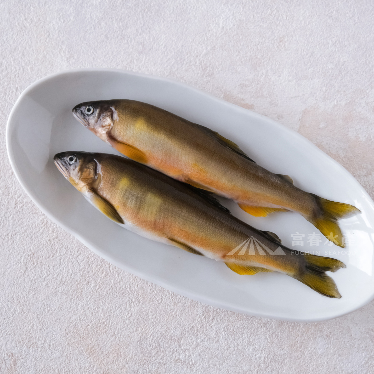 【富春嚴選公香魚-大】真空2尾入