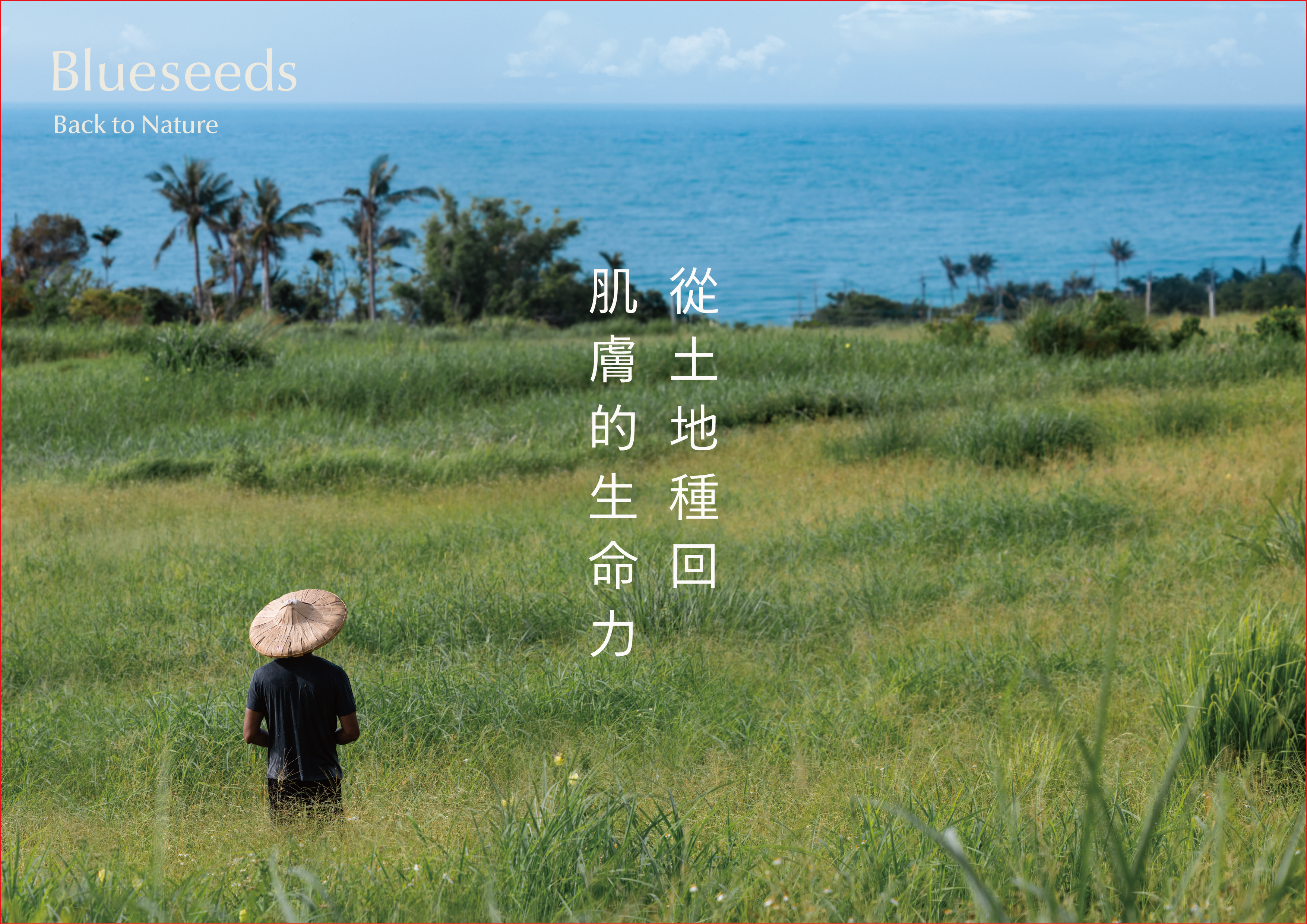 台東自然農法香草田景色與契作農友