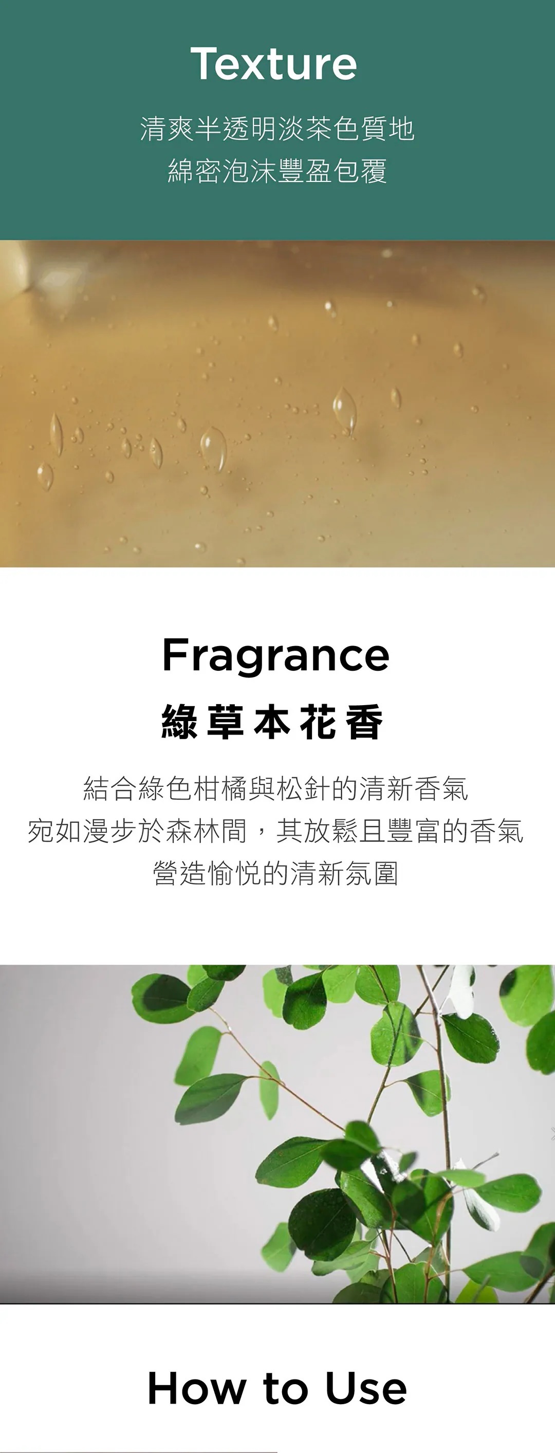 韓國 AYUNCHE 雅潤彩 - 髮根強健 清爽 FRESH 洗髮精 – 溫和清潔頭皮，維持水油平衡，適合油性與敏感頭皮的清爽潔淨體驗