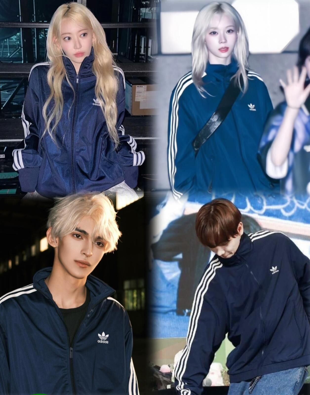 Adidas Firebird Adicolor Classics