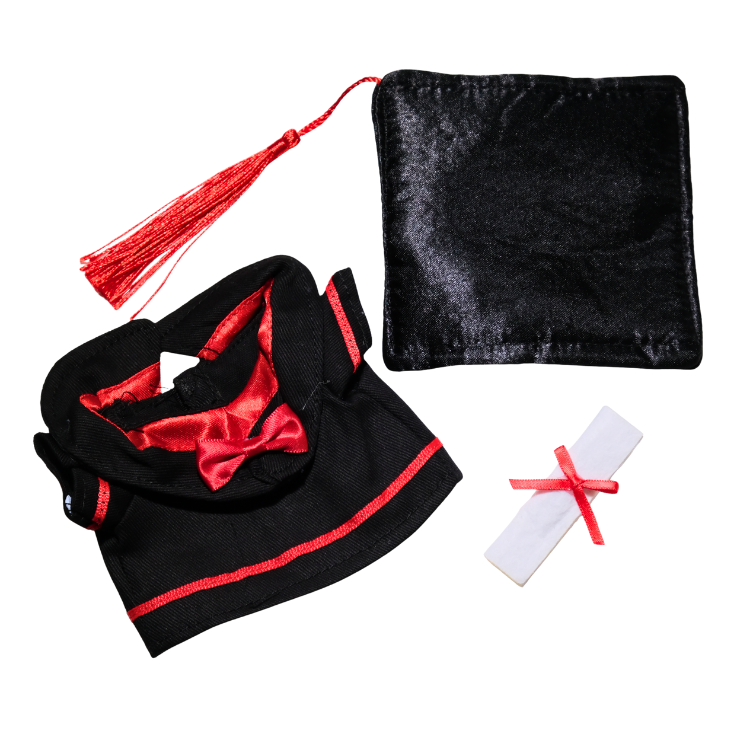 大專學士畢業袍娃衣套裝