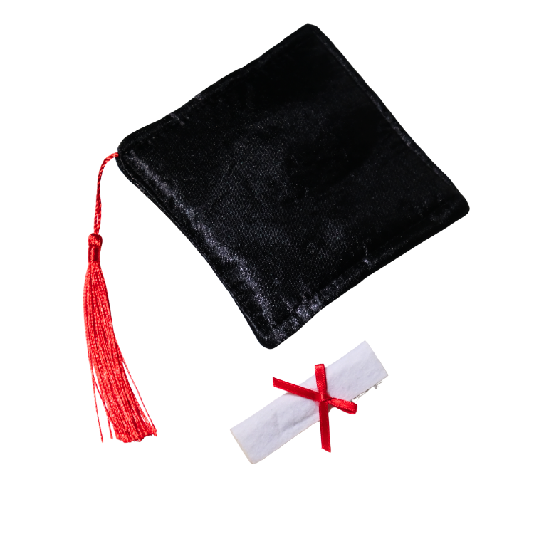 大專學士畢業袍娃衣套裝