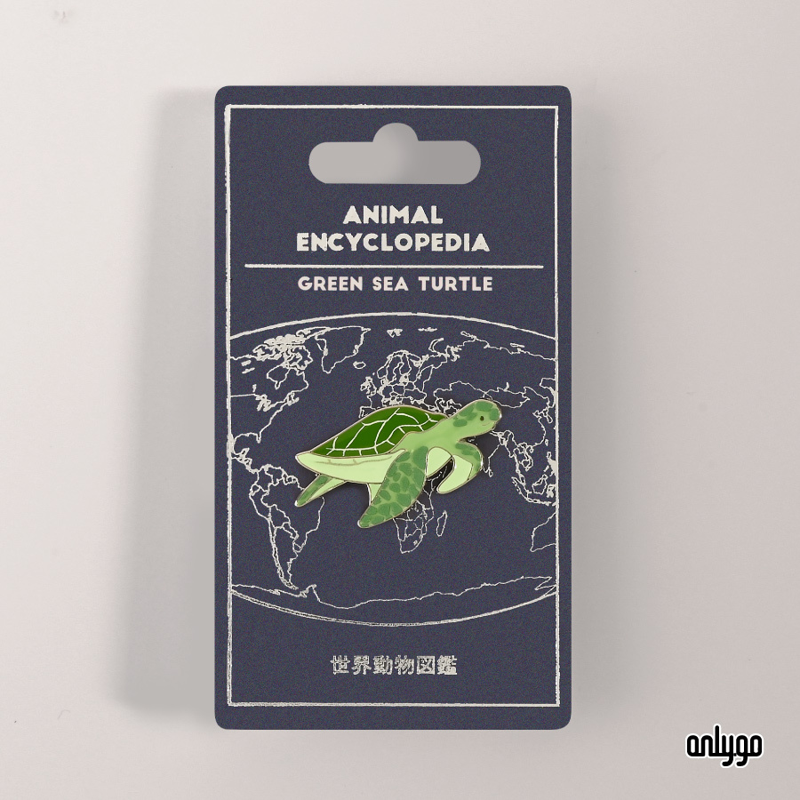 世界動物図鑑バッジ｜アオウミガメ