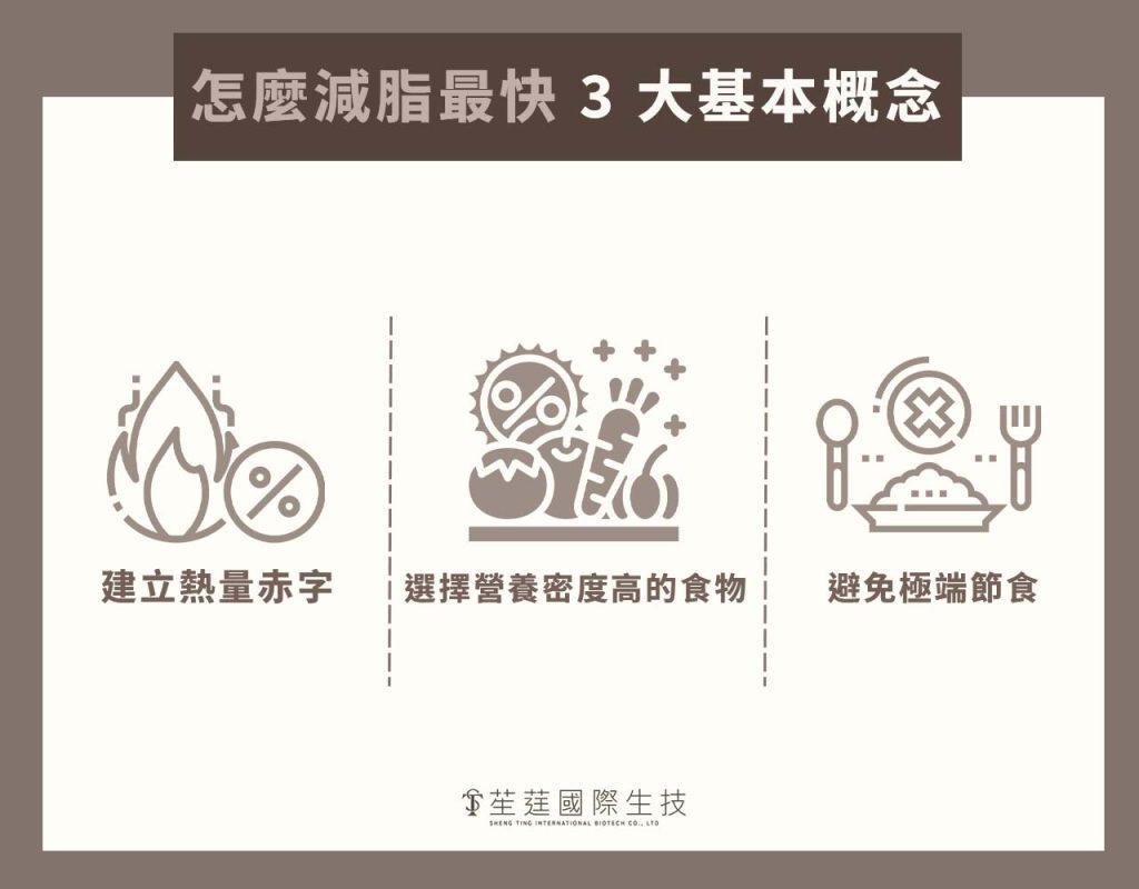 怎麼減脂最快-3-大基本概念