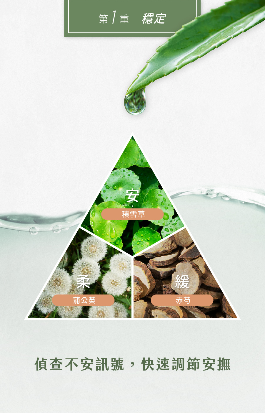 偵查不安訊號，快速調節安撫