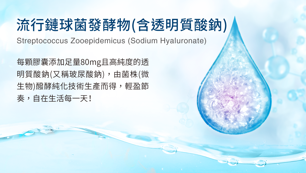 流行鏈球菌發酵物(含透明質酸鈉) 每顆膠囊添加80mg且高純度的透明質酸鈉(又稱玻尿酸鈉),由菌株(微生物)醱酵純化技術生產而得,輕盈節奏,自在生活每一天!