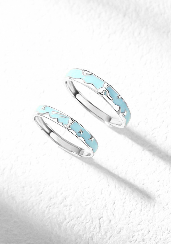 「小王子和狐狸」情侶戒指💍 免費刻字✒️ 夜光對戒✨